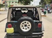 Cần bán lại xe Jeep Wrangler đời 1995, màu xanh lam, nhập khẩu số sàn