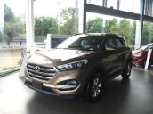 Bán Hyundai Tucson 2.0 máy xăng, bản tiêu chuẩn đời 2018, màu nâu tại Đắk Lắk