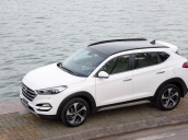 Bán Hyundai Tucson 1.6 turbo TGDI, hỗ trợ vay vốn 80% GT xe. Hotline 0948955599 - 0935904141