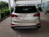 Cần bán xe Hyundai Santa Fe đời 2019 - đầy đủ khuyến mại, xe giao ngay, liên hệ Thành Trung: 0941.367.999