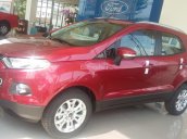 Ford Ecosport khuyến mãi ưu đãi cuối năm. Tăng gói phụ kiện DVD, camera, bệ bước, film 3m của Mỹ