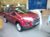 Ford Ecosport khuyến mãi ưu đãi cuối năm. Tăng gói phụ kiện DVD, camera, bệ bước, film 3m của Mỹ