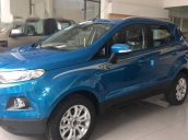 Bán Ford EcoSport đời 2017, màu xanh lam, giá chỉ 585 triệu