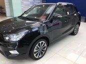 Bán xe Ssangyong TiVoLi đời 2016, nhập khẩu