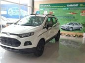 Cần bán xe Ford EcoSport Titanium đời 2017, màu trắng, giá 590tr