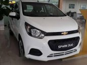 Bán xe Chevrolet Spark Duo năm 2017, màu trắng