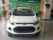 Cần bán xe Ford EcoSport Titanium đời 2017, màu trắng, giá 590tr