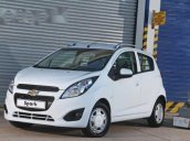 Bán Chevrolet Spark Duo đời 2017, màu trắng