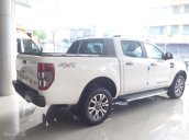 Hà Nội Ford cần bán Ford Ranger 2017, nhập khẩu, 570 triệu - kèm khuyến mại cực cao: 0942181386