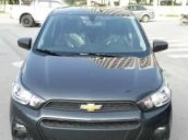 Cần bán lại xe Chevrolet Spark Van đời 2016, màu xám