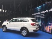 Bán Ford Everest Ambiente đời 2018, giao ngay lô xe đầu tiên