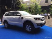 Bán Ford Everest Ambiente đời 2018, giao ngay lô xe đầu tiên