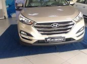 Bán ô tô Hyundai Tucson năm 2017, 840tr