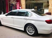 Cần bán gấp BMW 5 Series 520i đời 2014, màu trắng, xe nhập