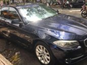 Bán BMW 5 Series 528i năm 2012, nhập khẩu