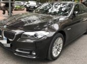 Bán BMW 5 Series 520i sản xuất 2014, màu đen, nhập khẩu nguyên chiếc