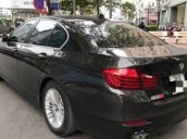 Bán BMW 5 Series 520i sản xuất 2014, màu đen, nhập khẩu nguyên chiếc