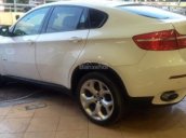 Cần bán xe BMW X6 đời 2009, màu trắng, nhập khẩu