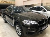 Bán xe BMW X6 xDrive 30d đời 2015, màu đen, nhập khẩu nguyên chiếc số tự động