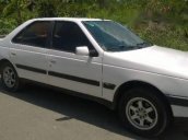 Bán Peugeot 405 sản xuất 1990, màu trắng, nhập khẩu