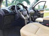 Cần bán Toyota Prado 2.7 TX_L đời 2010, màu nâu, nhập khẩu