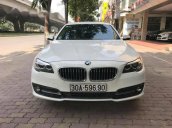 Cần bán xe BMW 5 Series 520i đời 2014, màu trắng chính chủ