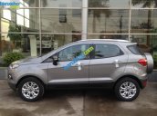 Bán xe Ford Ecosport titanium 1.5, Trend 1.5 giá chỉ từ 500 triệu. LH: 0986 339 588 tại Ford Thủ Đô