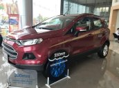 Cần bán Ford EcoSport đời 2017, màu đỏ