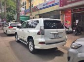 Xe Lexus GX 460 đời 2013, màu trắng, nhập khẩu nguyên chiếc