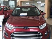 Cần bán Ford EcoSport đời 2017, màu đỏ