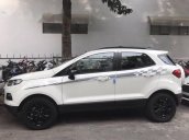 Bán Ford EcoSport Titanium đời 2017, màu xám, 550 triệu