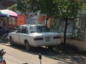 Bán Toyota Cressida năm 1984, màu trắng  