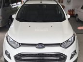 Bán Ford Ecosport Titanium 2015, chạy lướt 19.000km