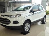 Bán xe Ford Ecosport tại Hải Phòng