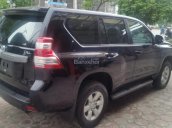 Bán Toyota Prado TXL đời 2014, màu đen, xe nhập