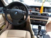 Bán BMW 5 Series 520i đời 2014, màu trắng