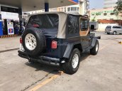 Cần bán lại xe Jeep Wrangler sản xuất 1995, màu xanh lam, xe nhập