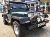 Cần bán lại xe Jeep Wrangler sản xuất 1995, màu xanh lam, xe nhập