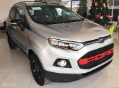 Bán ô tô Ford EcoSport Titanium Black 1.5L AT sản xuất 2017, màu bạc, giá chỉ 555 triệu