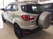 Bán ô tô Ford EcoSport Titanium Black 1.5L AT sản xuất 2017, màu bạc, giá chỉ 555 triệu