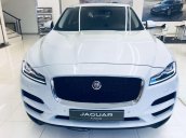 Jaguar F-Pace Pure, xe nhập Anh, cùng phân khúc Mercedes GLS, BMW X6, Porsche Macan