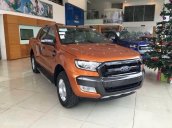 Cần bán xe Ford Ranger XL 2.2L MT 4 x 4 2017