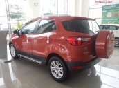 Cần bán Ford EcoSport Trend 1.5 L MT đời 2017, nhập khẩu nguyên chiếc, 585tr