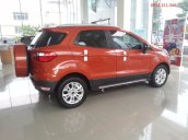 Cần bán Ford EcoSport Trend 1.5 L MT đời 2017, nhập khẩu nguyên chiếc, 585tr