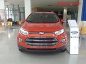 Cần bán Ford EcoSport Trend 1.5 L MT đời 2017, nhập khẩu nguyên chiếc, 585tr