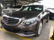 Trung tâm Mercedes-Benz bán xe Mercedes E200 2015, chỉ với 500 triệu nhận xe với gói vay cực ưu đãi