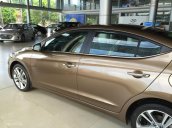 Cần bán Hyundai Elantra 1.6AT số tự động đời 2018, màu nâu, mới 100%, xe ở Đắk Lắk - Đắk Nông. ĐT: 0941.46.22.77