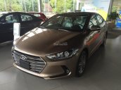 Cần bán Hyundai Elantra 1.6AT số tự động đời 2018, màu nâu, mới 100%, xe ở Đắk Lắk - Đắk Nông. ĐT: 0941.46.22.77