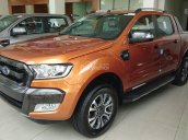 Ford Ranger 2017 tặng ngay: Nắp thùng, lót thùng, phim cách nhiệt, hỗ trợ vay 80%, LH: 0906 703 343 - Mr. Đạt