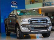 Ford Thủ Đô tri ân khách hàng cuối năm Ranger Wildtrak, Sync 3, trả góp 80%. Liên hệ Mr Tuấn 0986473879